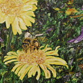 Wild Daisy